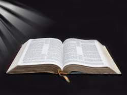 Bible 15654-spotlight-250x188